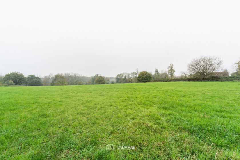 Prairie à vendre à Asse