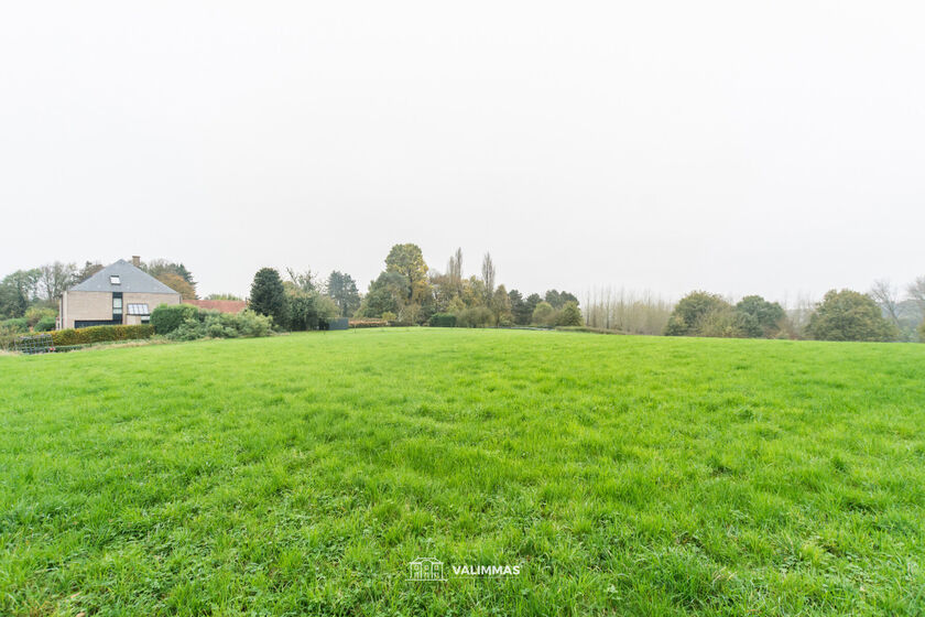 Prairie à vendre à Asse