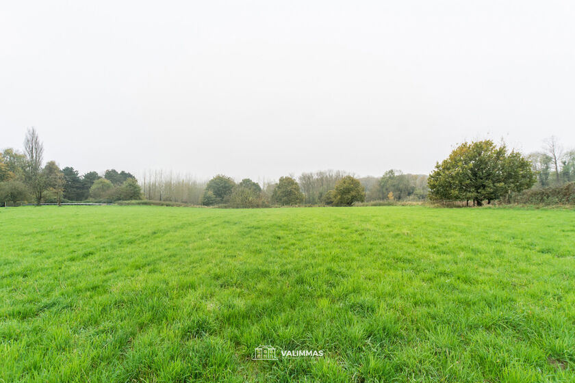 Prairie à vendre à Asse